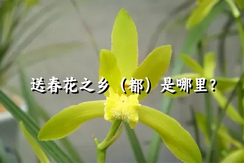 送春花之乡（都）是哪里？
