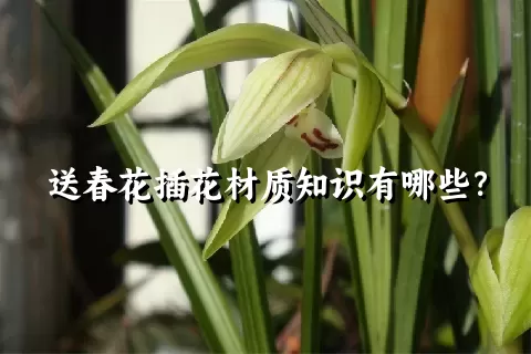 送春花插花材质知识有哪些？