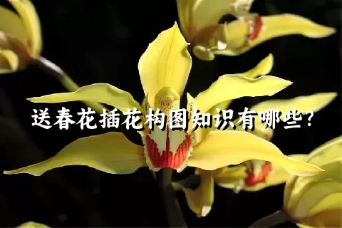 送春花插花构图知识有哪些？