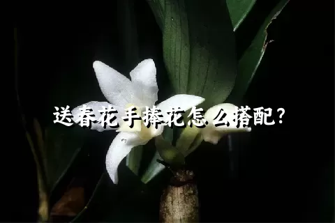 送春花手捧花怎么搭配？