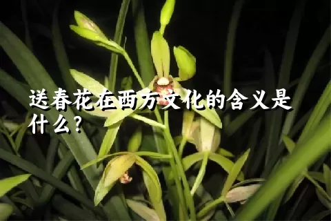 送春花在西方文化的含义是什么？