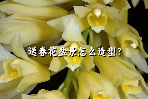 送春花盆景怎么造型？
