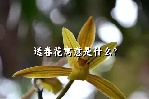 送春花寓意是什么？