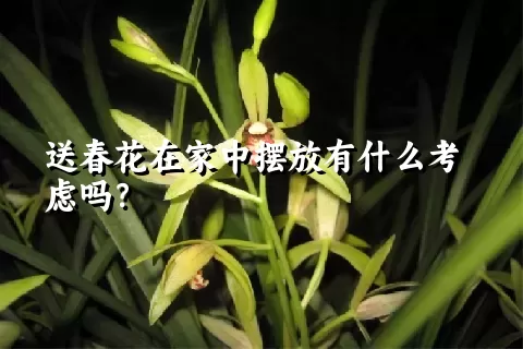送春花在家中摆放有什么考虑吗？