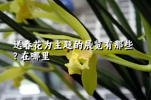 送春花为主题的展览有那些？在哪里