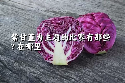 紫甘蓝为主题的比赛有那些？在哪里
