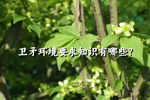 卫矛环境要求知识有哪些？