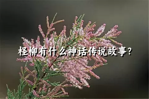 柽柳有什么神话传说故事？