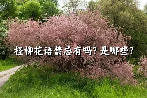 柽柳花语禁忌有吗？是哪些？