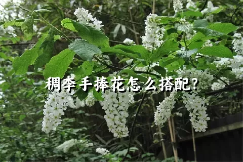 稠李手捧花怎么搭配？