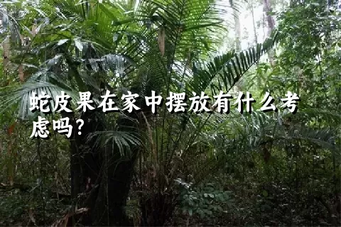 蛇皮果在家中摆放有什么考虑吗？