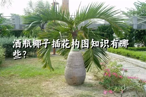 酒瓶椰子插花构图知识有哪些？