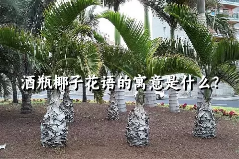 酒瓶椰子花语的寓意是什么？