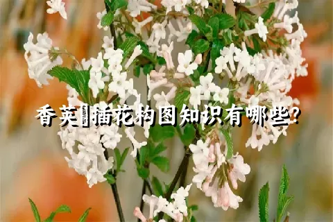 香荚蒾插花构图知识有哪些？