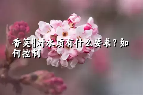 香荚蒾对水质有什么要求？如何控制