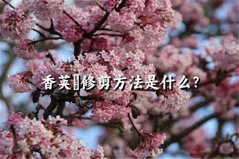 香荚蒾修剪方法是什么？