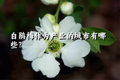 白鹃梅作为产业的城市有哪些？