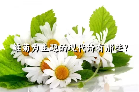 雏菊为主题的现代诗有那些？