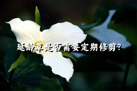 延龄草是否需要定期修剪？