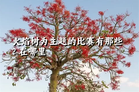 火焰树为主题的比赛有那些？在哪里