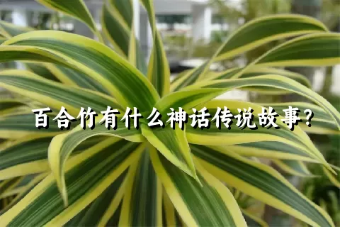 百合竹有什么神话传说故事？