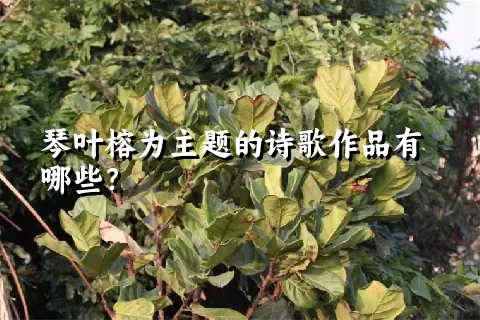 琴叶榕为主题的诗歌作品有哪些？