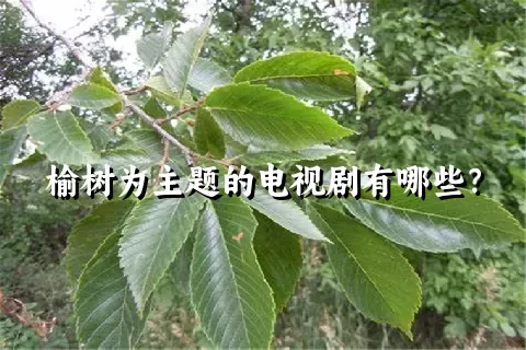 榆树为主题的电视剧有哪些？