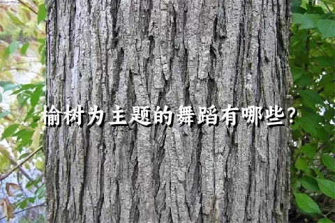榆树为主题的舞蹈有哪些？