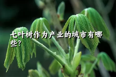七叶树作为产业的城市有哪些？