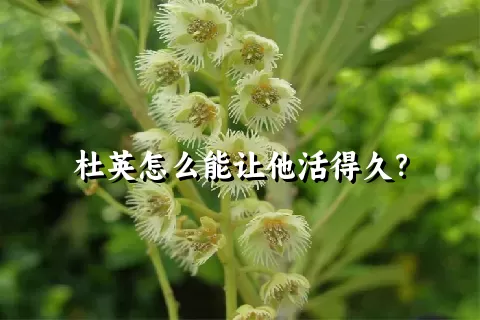 杜英怎么能让他活得久？
