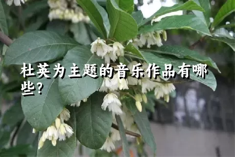 杜英为主题的音乐作品有哪些？