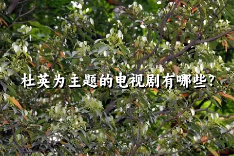 杜英为主题的电视剧有哪些？