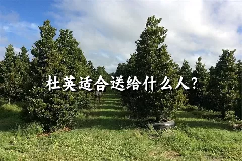 杜英适合送给什么人？