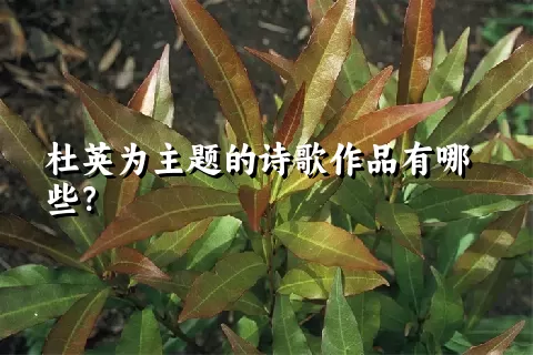 杜英为主题的诗歌作品有哪些？