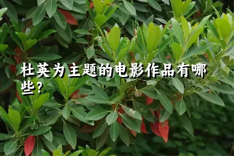 杜英为主题的电影作品有哪些？