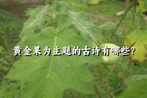 黄金果为主题的古诗有哪些？