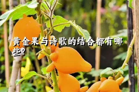 黄金果与诗歌的结合都有哪些？