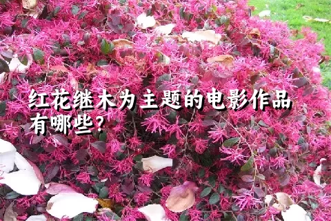 红花继木为主题的电影作品有哪些？