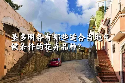圣多明各有哪些适合当地气候条件的花卉品种？