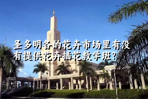 圣多明各的花卉市场里有没有提供花卉插花教学班？