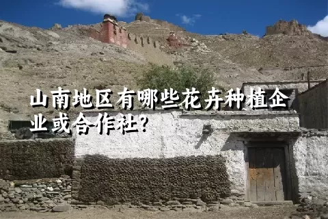 山南地区有哪些花卉种植企业或合作社？