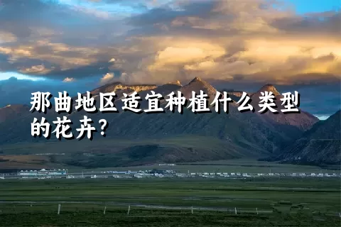 那曲地区适宜种植什么类型的花卉？