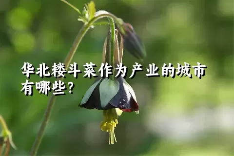 华北耧斗菜作为产业的城市有哪些？