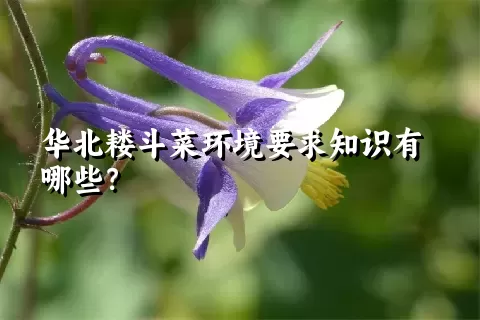 华北耧斗菜环境要求知识有哪些？