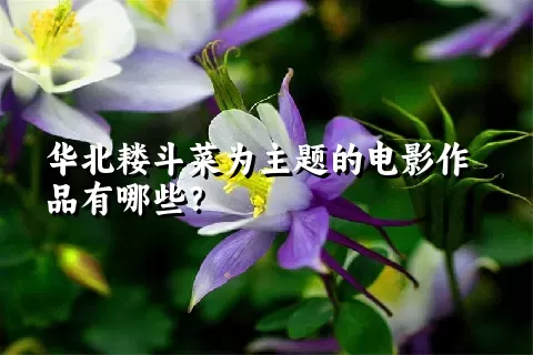 华北耧斗菜为主题的电影作品有哪些？
