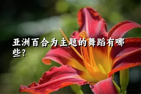 亚洲百合为主题的舞蹈有哪些？