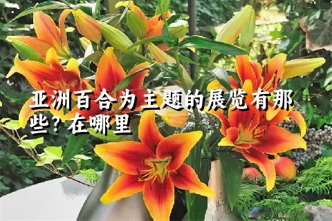 亚洲百合为主题的展览有那些？在哪里