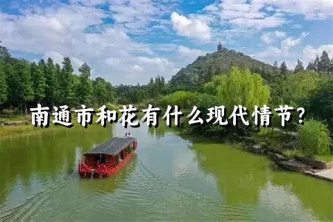 南通市和花有什么现代情节？