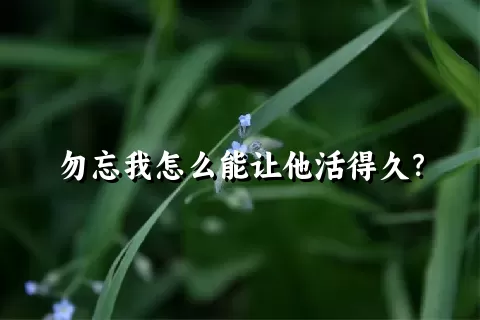勿忘我怎么能让他活得久？