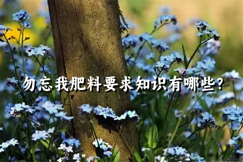 勿忘我肥料要求知识有哪些？